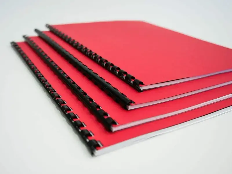 Project Binding